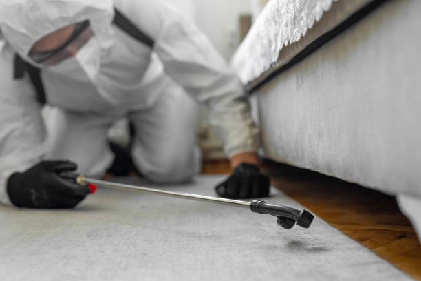 Professional Ant Control technician working in Lake in the Hills, IL